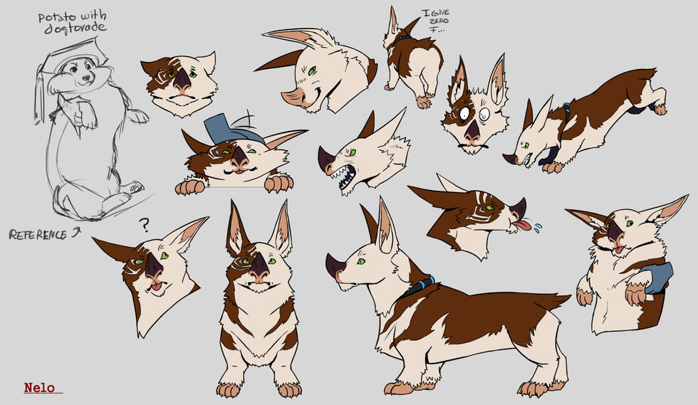 Corgi kubrow